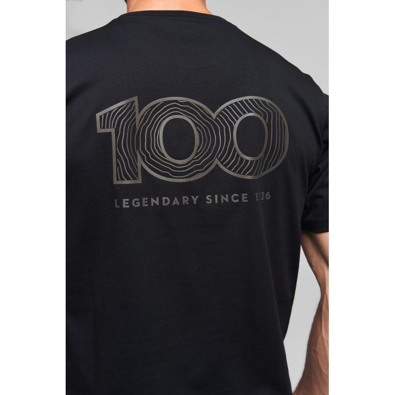 T-Shirt STIHL 100 REFLECTIVE