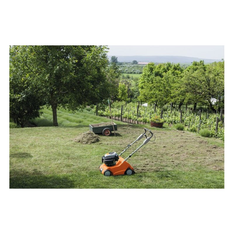 Benzin-Rasenlüfter RL 540